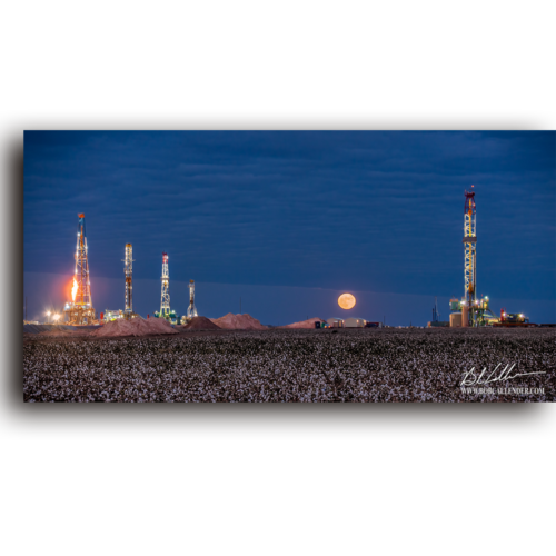 A crisp clear moonlight filled sky over rows of rigs and cotton. Energen 25 by Bob Callender