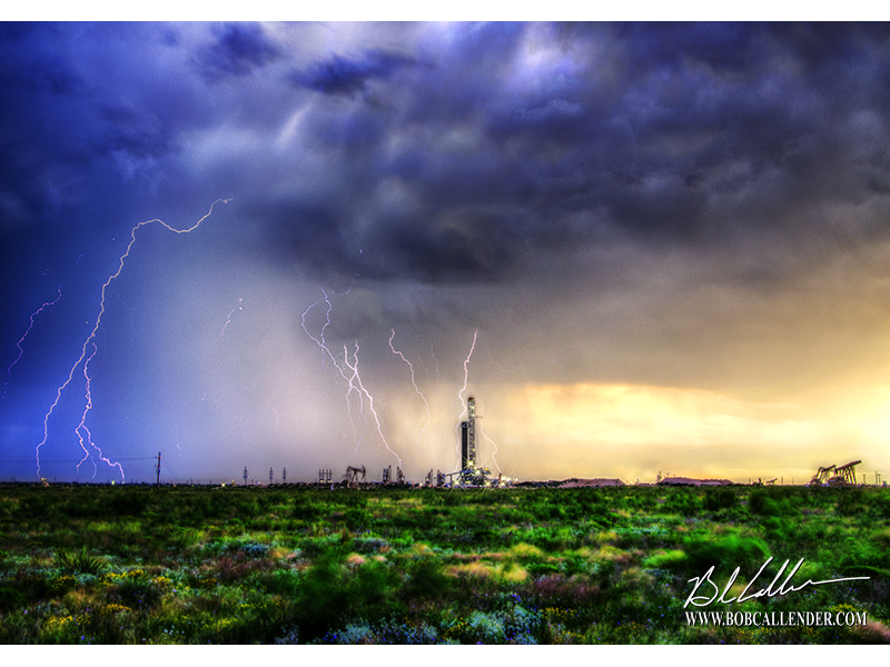 Bob Callender West Texas Weeds